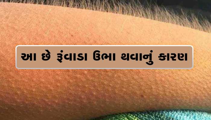 Goose Bumbs: તમારા નાની-નાની વાત પર થઈ જાય છે રૂંવાડા ઉભા, આ હોઈ શકે છે કારણ