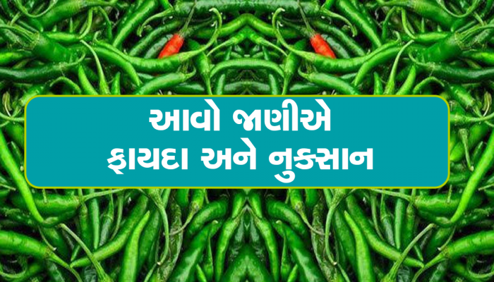 સૌરાષ્ટ્રવાસીઓ ખાસ વાંચે! શું તમને પણ લીલા મરચાં ખાવાની ટેવ છે? રિસર્ચમાં થયો ખુલાસો