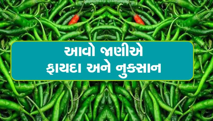 સૌરાષ્ટ્રવાસીઓ ખાસ વાંચે! શું તમને પણ લીલા મરચાં ખાવાની ટેવ છે? રિસર્ચમાં થયો ખુલાસો