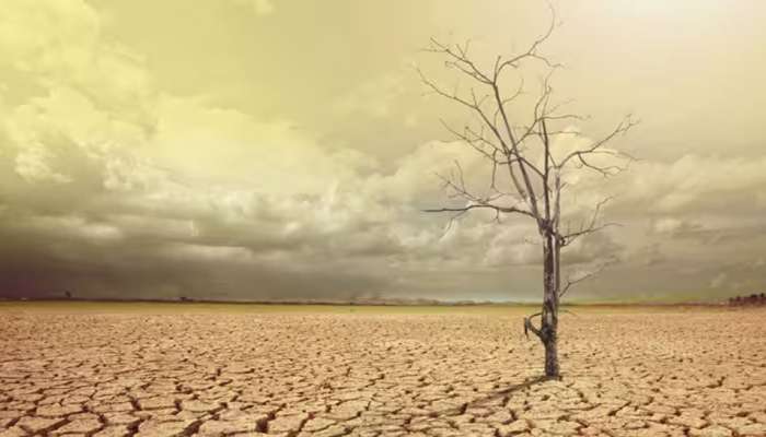 Global Warming: માનવ ઈતિહાસમાં ક્યારેય નહીં અનુભવી હોય એટલી ગરમી પડશે આગામી 5 વર્ષમાં