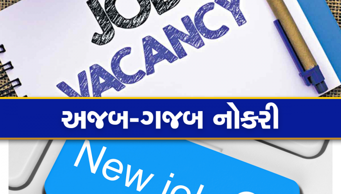 Weird Job: 2 કરોડ પગાર અને રહેવા-ખાવાનું ફ્રી, છતાં આ નોકરી કરવા કોઈ તૈયાર નથી!