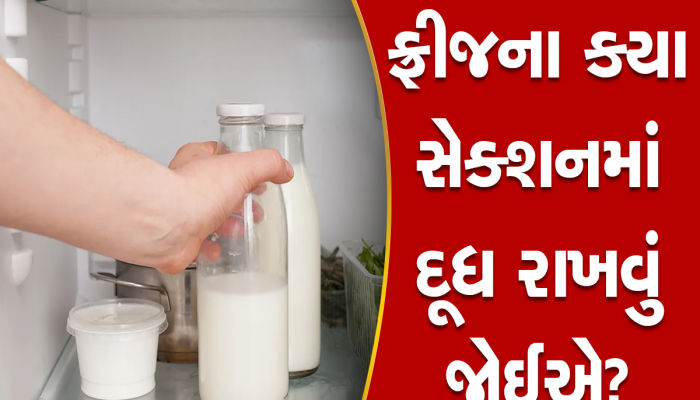 ફ્રિજમાં દૂધ કયાં રાખવું જોઈએ? તમે તો નથી કરતા ને આ ભૂલ, આટલું ખાસ જાણી લેજો