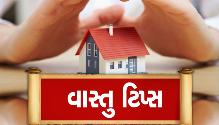 Vastu Tips: જાણો વાસ્તુ અનુસાર ઘરમાં કયા પ્રાણીઓની મૂર્તિ રાખવી શુભ સાબિત થઇ શકે છે?