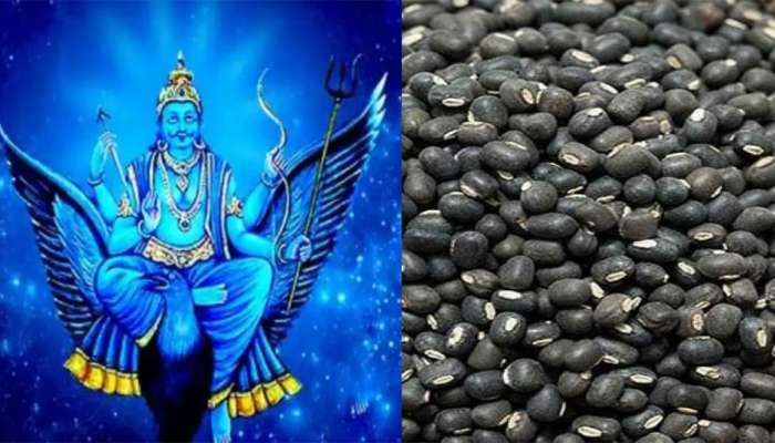 Shani Jayanti 2023: આજે શનિ દેવના પ્રિય અડદના કરી લો આ ઉપાય, દુર્ભાગ્યથી મળશે મુક્તિ