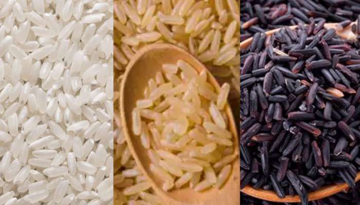 Diabetes Control Tips: બ્રાઉન, કાળા કે સફેદ.. ડાયાબિટીસના દર્દીઓએ કયા ચોખા ખાવા જોઈએ?