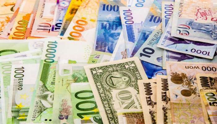 Plastic Currency: દુનિયાના 23 દેશોમાં નથી ચાલતી કાગળની નોટ, અહીંની કરન્સી વિશે જાણી રહી જશો દંગ