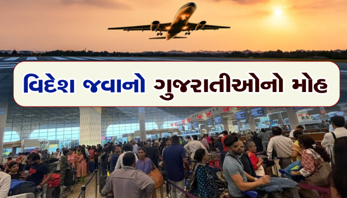 મેહાણીઓમાં કેનેડા અને અમેરિકા જવાનો ગાંડો ક્રેઝ, માત્ર 3 મહિનામાં આટલા બધા લોકો વિદેશ ઉપડ્યા 