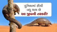 દુનિયામાં સૌથી વધુ થાય છે આ જીવની તસ્કરી? જાણો શું કહે છે રિપોર્ટ