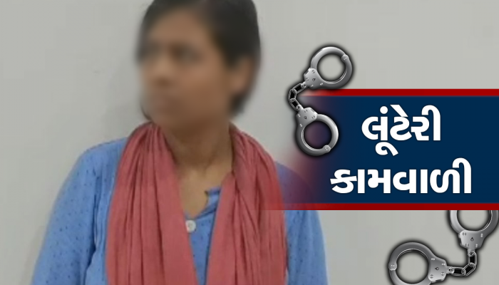 ઓનલાઇન કામવાળી શોધતા લોકો માટે લાલબત્તી સમાન કિસ્સો, બે દિવસમાં 7.24 લાખ લઈને રફુચક્કર થઈ ગઈ