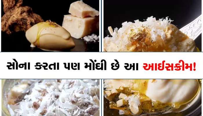 Ice Cream: દુનિયાની સૌથી મોંઘી આઈસક્રીમ! ગોલ્ડ અને ડાયમંડ કરતાય વધારે છે ભાવ