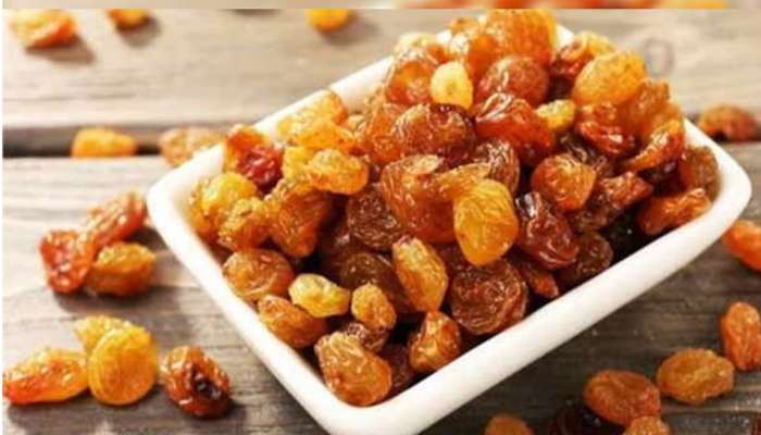 Benefits Of Munaka: જો તમે આ સમયે સુકી દ્રાક્ષ ખાશો તો તમારે ક્યારેય નહીં પડે ડોક્ટરની જરૂર