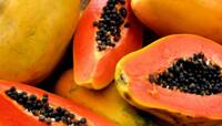 Papaya Bad Combination: પપૈયા સાથે ભૂલથી પણ ન ખાઓ આ 5 વસ્તુઓ, ખાશો તો પસ્તાશો