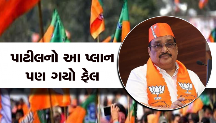ગુજરાત ભાજપે પ્લાન બદલ્યો : હાંસિયામાં ધકેલાયેલા સિનિયર નેતાઓને ફરી કામે લગાડયા