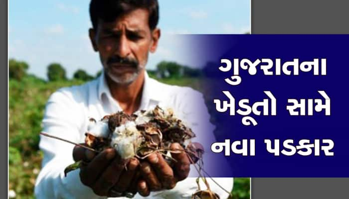 ખેડૂતો માટે સો ટચ સોના જેવી છે કૃષિ વૈજ્ઞાનિકોની આ સલાહ, માનતો તો ખેતરમાં સોનુ પાકશે