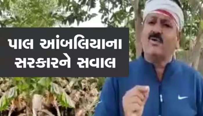 ખરીફ સીઝન પહેલા પાક નુકસાની વળતર ચૂકવે સરકાર, ગુજરાતમાં સરકારની મિલીભગતથી બીજ બુટલેગરો બેફામ