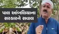 ખરીફ સીઝન પહેલા પાક નુકસાની વળતર ચૂકવે સરકાર, સરકારની મિલીભગતથી બીજ બુટલેગરો બેફામ 