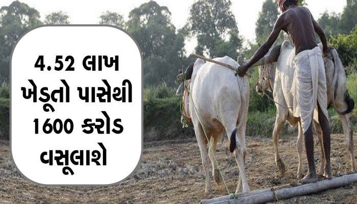 PM Kisan Scheme: કોણ સાચું ભૂપેન્દ્ર પટેલ સરકાર કે મોદી સરકાર, બંનેના આંકડામાં રાત-દિવસનો તફાવત