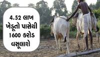 PM Kisan: કોણ સાચું ભૂપેન્દ્ર પટેલ સરકાર કે મોદી સરકાર, આંકડામાં રાત-દિવસનો તફાવત