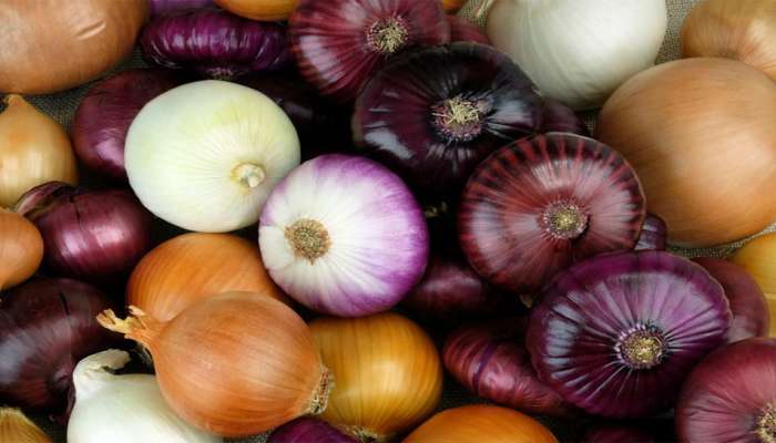 Onion Benefits: રોજ એક ડુંગળી ખાવાથી બ્લડ શુગર રહેશે કંટ્રોલમાં, શરીરને થશે ફાયદા