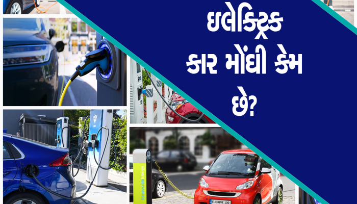 Electric Car ખરીદતાં પહેલાં આટલું વાંચી લેજો, નહીંતર પૈસા ડૂબી જશે, રોવાના દહાડા આવશે