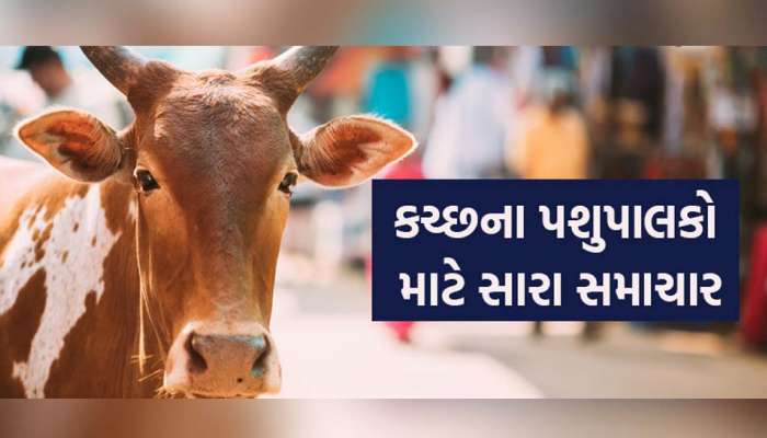 કચ્છની સરહદ ડેરીએ પશુપાલકોને આપી સૌથી મોટી ભેટ; દૂધના ખરીદ ભાવમાં કર્યો મોટો વધારો