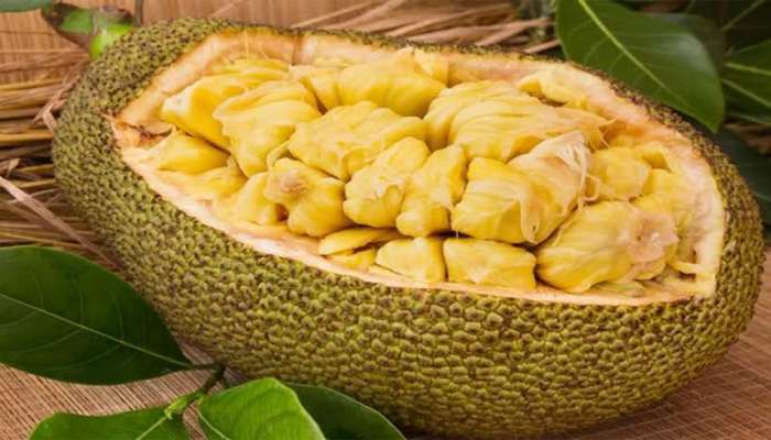 Benefits of Jackfruit: ફણસનું સેવન કરવાથી થતા ફાયદા જાણી આજથી જ ખાવાનું કરી દેશો શરુ