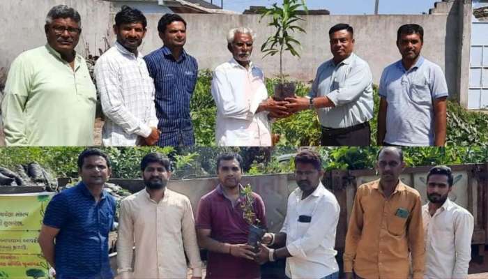 સોમનાથ ટ્રસ્ટ દ્વારા 11 લાખ વૃક્ષારોપણ મહાઅભિયાનના દ્વિતીય તબક્કાનો જાજરમાન પ્રારંભ