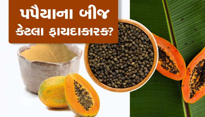 પાકા પપૈયાના બી હોય છે ગુણકારી, તેના ચૂર્ણથી થશે અનેક લાભ