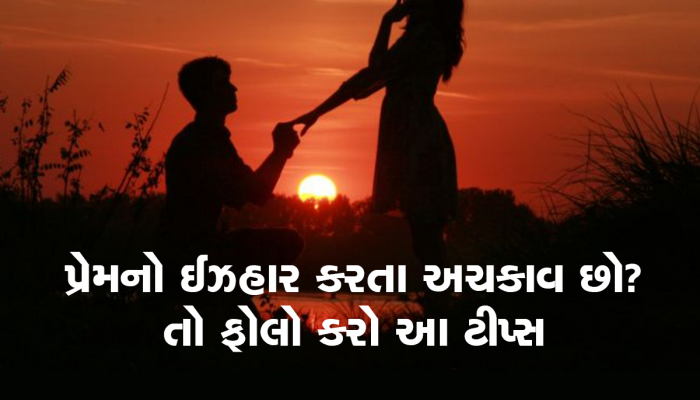 Relationship Tips: પ્રેમ કરો છો પણ ઈઝહાર કરવામાં લાગે છે ડર, આ ટિપ્સ અજમાવો ક્યારેય નહીં આવે ના 