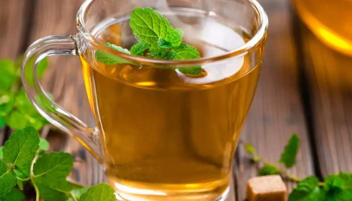 Green Tea પીવાના શોખીન છો? તો ક્યારેય ન કરશો આ ભૂલો, ફાયદાના બદલે થશે નુકસાન
