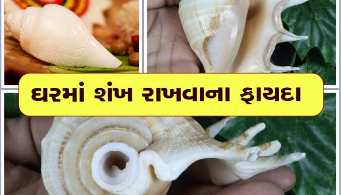 Vastu Tips: ઘરમાં આ ખાસ શંખ રાખશો તો ધનથી છલકાશે તિજોરી, શાસ્રોમાં પણ છે ઉલ્લેખ