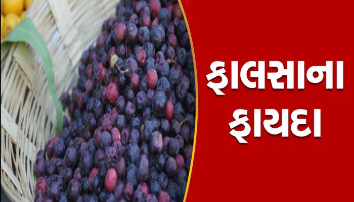 ખાટ્ટા-મીઠા ફાલસામાં છુપાયેલો છે અનેક રોગોનો ઈલાજ, જાણો નાના ફાલસાના મોટા ફાયદા