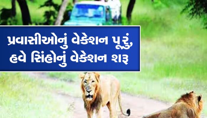 ફરવાના શોખીન ગુજરાતીઓ માટે મહત્વના અપડેટ, ચાર મહિના બંધ રહેશે ગીર જંગલના દરવાજા