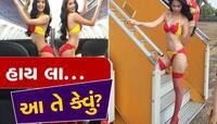 ન્યૂડ મુસાફરોથી લઈને બિકિનીવાળી એરહોસ્ટેસ...આ છે દુનિયાની અજીબોગરીબ ફ્લાઈટ્સ