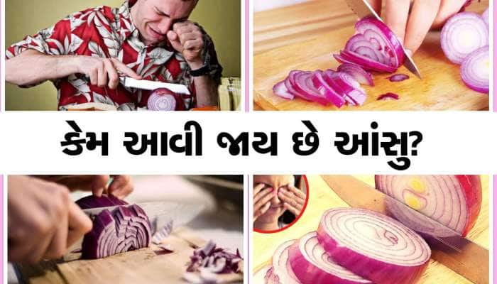 ડુંગળી કાપતી વખતે આંખોમાંથી કેમ આંસુડા સરી પડે છે? ખુબ જ  રસપ્રદ છે કારણ..ખાસ જાણો