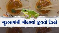 હોટલમાં નૂડલ્સ ખાવાના શોખીન હોવ તો આ Video ખાસ જુઓ, આંખે અંધારા આવી જશે
