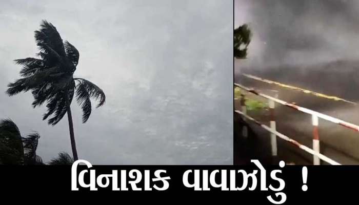 આ જિલ્લામાં વાવાઝોડાએ વેર્યો વિનાશ: જાણો કમોસમી વરસાદમાં ગુજરાતની સ્થિતિના ભયંકર...
