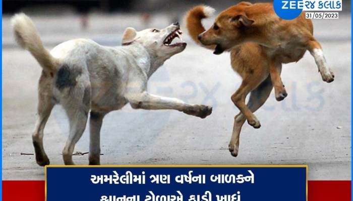 અમરેલીના દામનગરમાં શ્વાનોનો આતંક, 6 કુતરાઓના ટોળાએ 3 વર્ષના માસૂમનો લીધો ભોગ