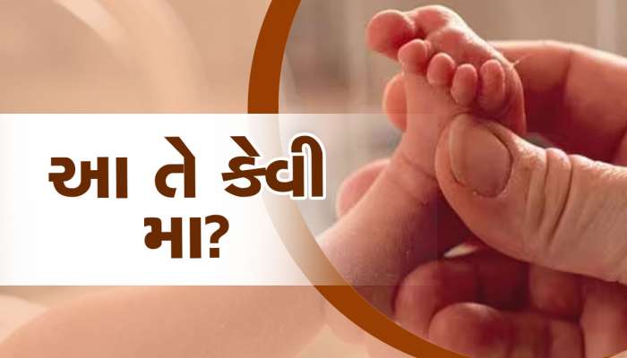 Viral News: ભૂલી ગઈ? એક વર્ષની માસૂમ બાળકીને કારમાં છોડી ગયેલી માતાને 9 કલાક બાદ યાદ આવ્યું, ગરમીથી માસૂમનું મોત