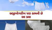 વિચિત્ર પદ્ધતિ, સફેદ અંડરવિયર જમીનમાં દાટી તપાસમાં આવે છે માટીની ગુણવત્તા