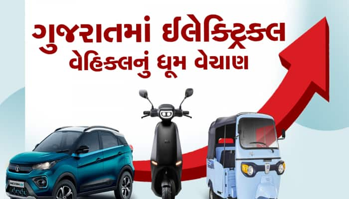 આમાં પણ ગુજરાતીઓ અવ્વલ : ઈલેક્ટ્રિક વ્હીકલ ખરીદવામાં રેકોર્ડ બનાવ્યો 