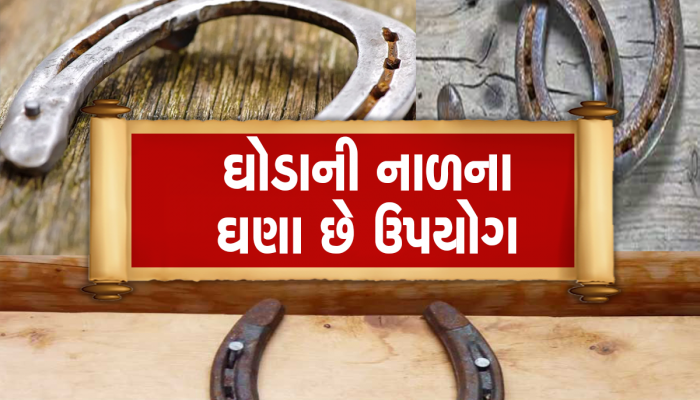 Shani Dev Sade Sati: શનિદેવને પ્રિય છે ઘોડાની નાળ, સાડાસાતીથી બચવા માટે આ રીતે કરો ઉપયોગ