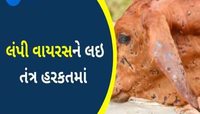 હજારો પશુઓનો જીવ લેનાર ખતરનાક વાયરસની ફરી ગુજરાતમાં એન્ટ્રી, પશુપાલકોમાં ફફડાટ