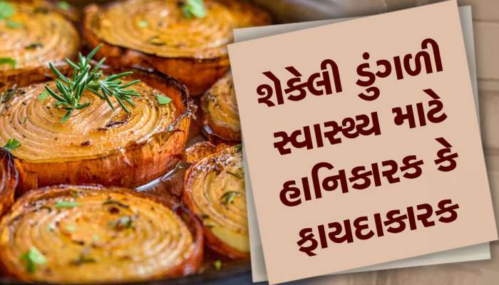 શું તમે પણ સલાડમાં ડુંગળી ખાવ છો? આ રીતે ખાશો તો જોવા થશે અદભૂત ફાયદો