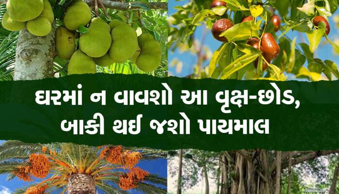 Vastu Tips for Plants: ભૂલથી પણ ઘરમાં ન લગાવશો આ છોડ, બાકી થઈ જશો કંગાળ!