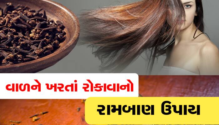 Hair Care Tips: તમને પણ ગમે છે લાંબા અને જાડા વાળ? તો લવિંગનો આ રીતે કરો ઉપયોગ