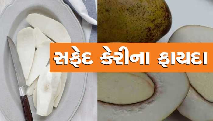 Benefits of White Mango: શું તમે ક્યારેય ખાધી છે સફેદ કેરી? અનેક રોગોનો છે ઈલાજ 