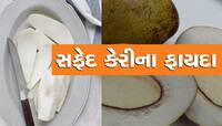 Benefits of White Mango: શું તમે ક્યારેય ખાધી છે સફેદ કેરી? અનેક રોગોનો છે ઈલાજ 