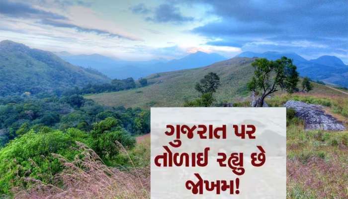 વિનાશના મુખમાં ધકેલાઈ રહ્યાં છે ગુજરાતના જંગલો, એક રિપોર્ટમાં થયો ચોંકાવનારો ખુલાસો 