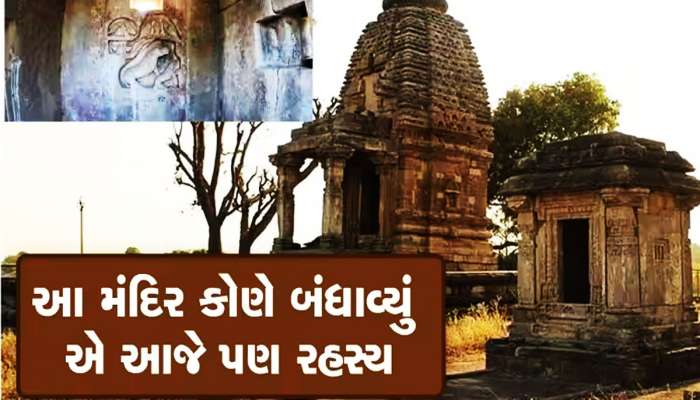 ગુજરાતમાં અહીં આવેલું છે દેશનું એક માત્ર પક્ષી મંદિર, દૂરદૂરથી જોવા ઉમટે છે પ્રવાસીઓ